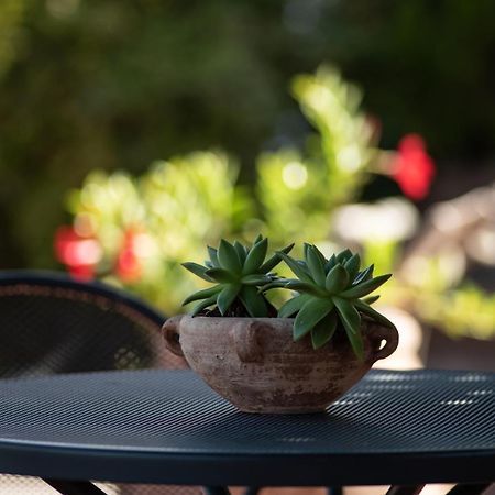 Agriturismo Il Colle Siena Luaran gambar