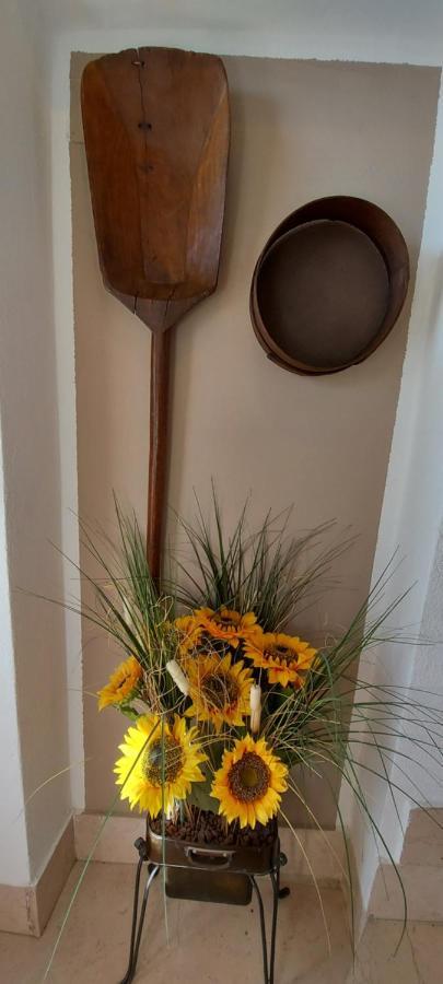 Agriturismo Il Colle Siena Luaran gambar