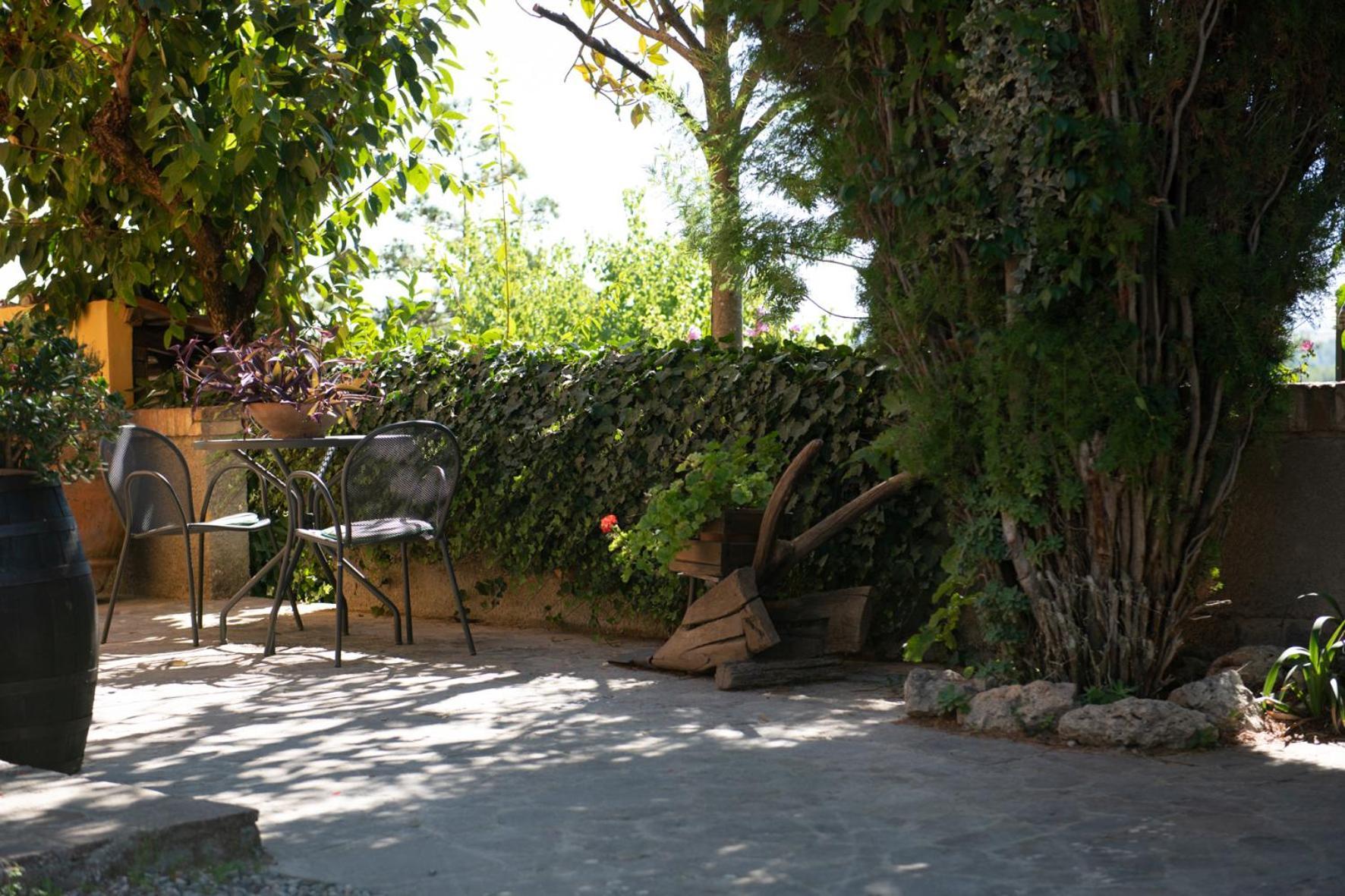 Agriturismo Il Colle Siena Luaran gambar