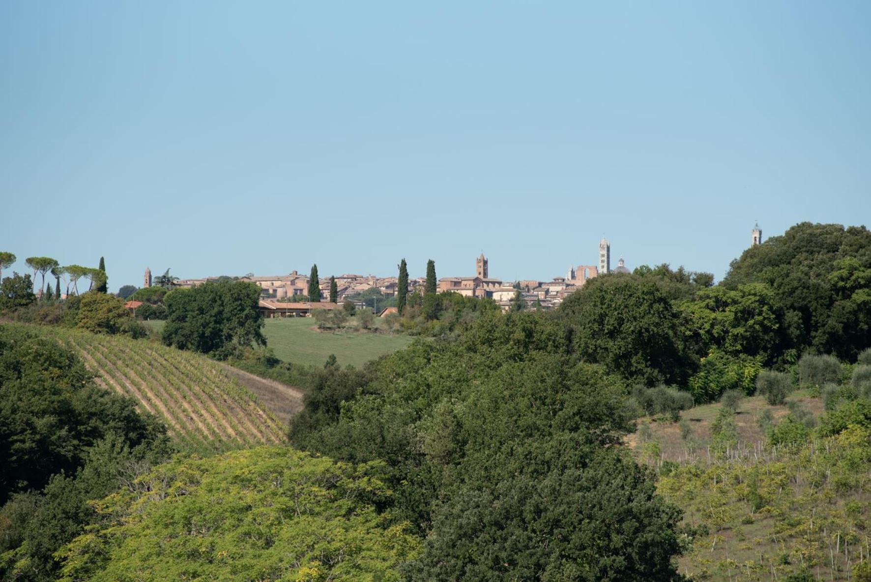 Agriturismo Il Colle Siena Luaran gambar