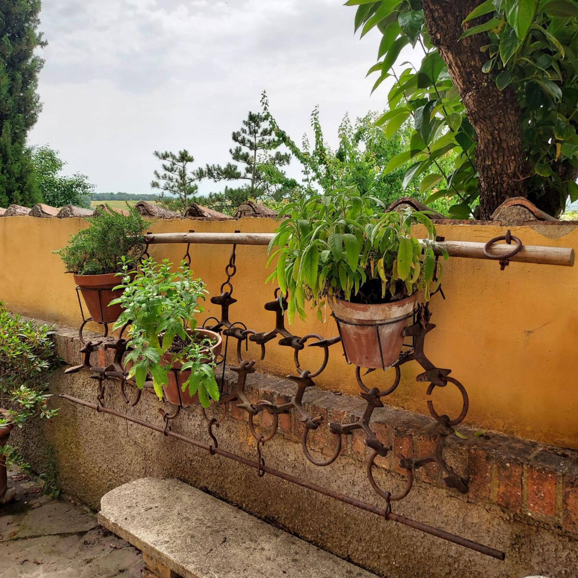 Agriturismo Il Colle Siena Luaran gambar
