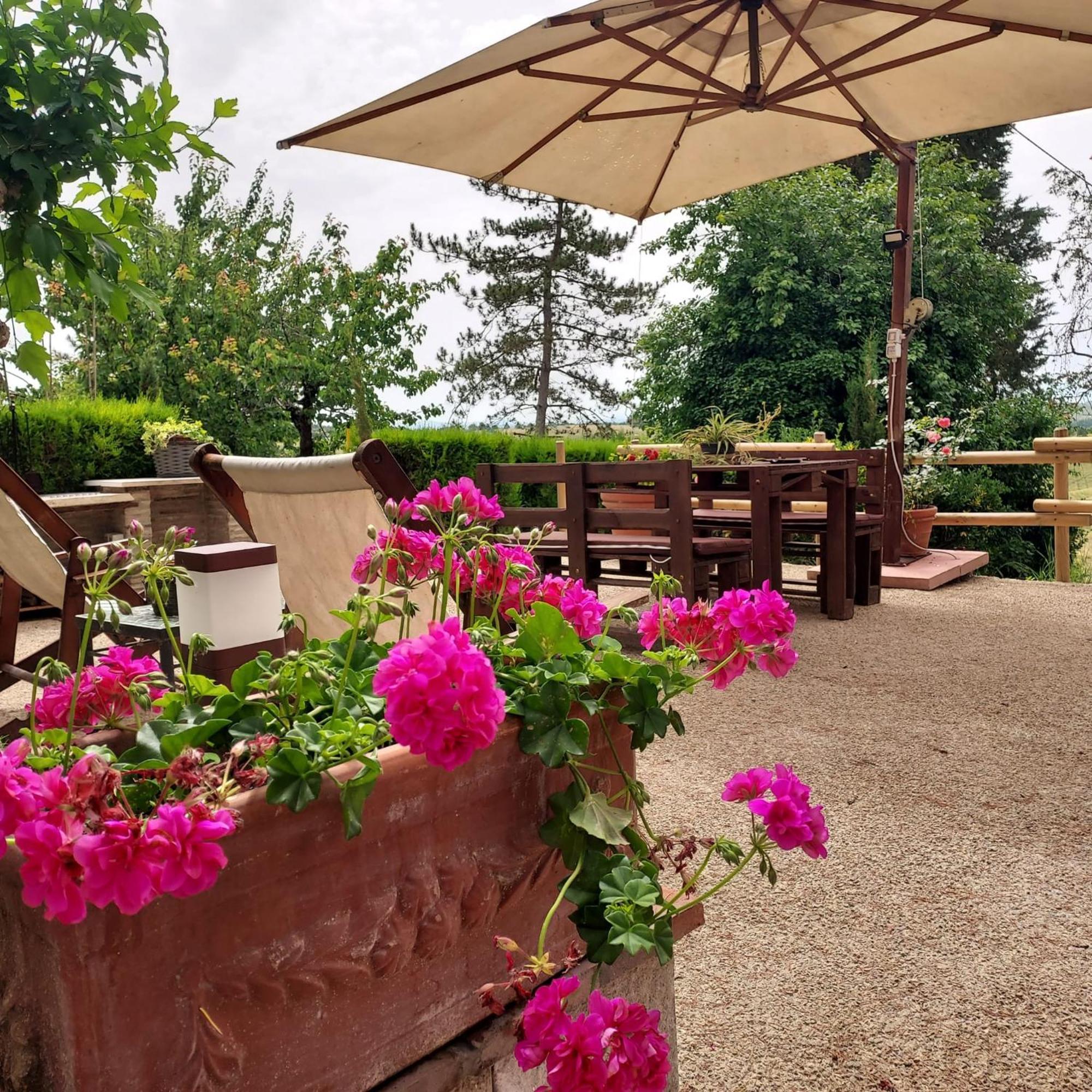 Agriturismo Il Colle Siena Luaran gambar