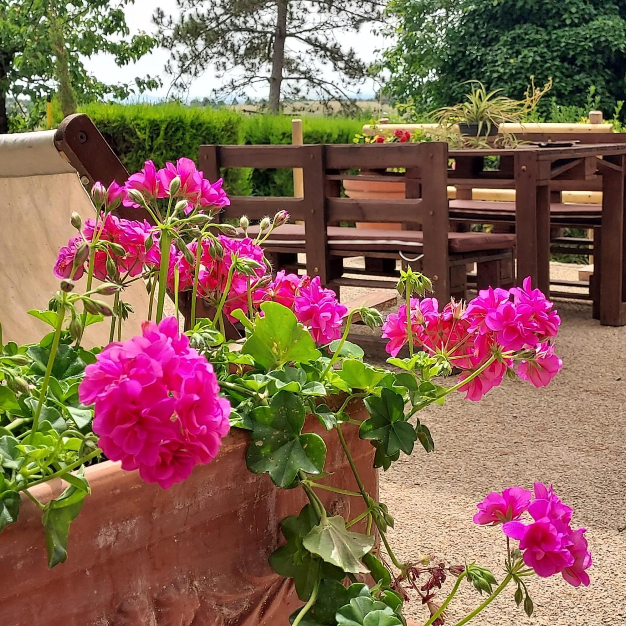 Agriturismo Il Colle Siena Luaran gambar