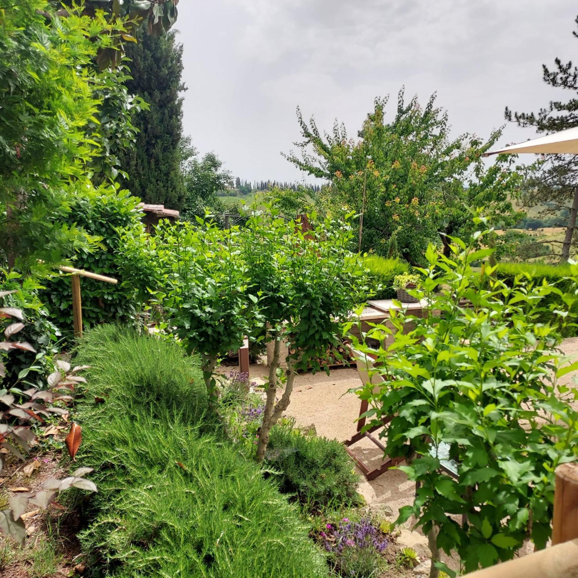 Agriturismo Il Colle Siena Luaran gambar