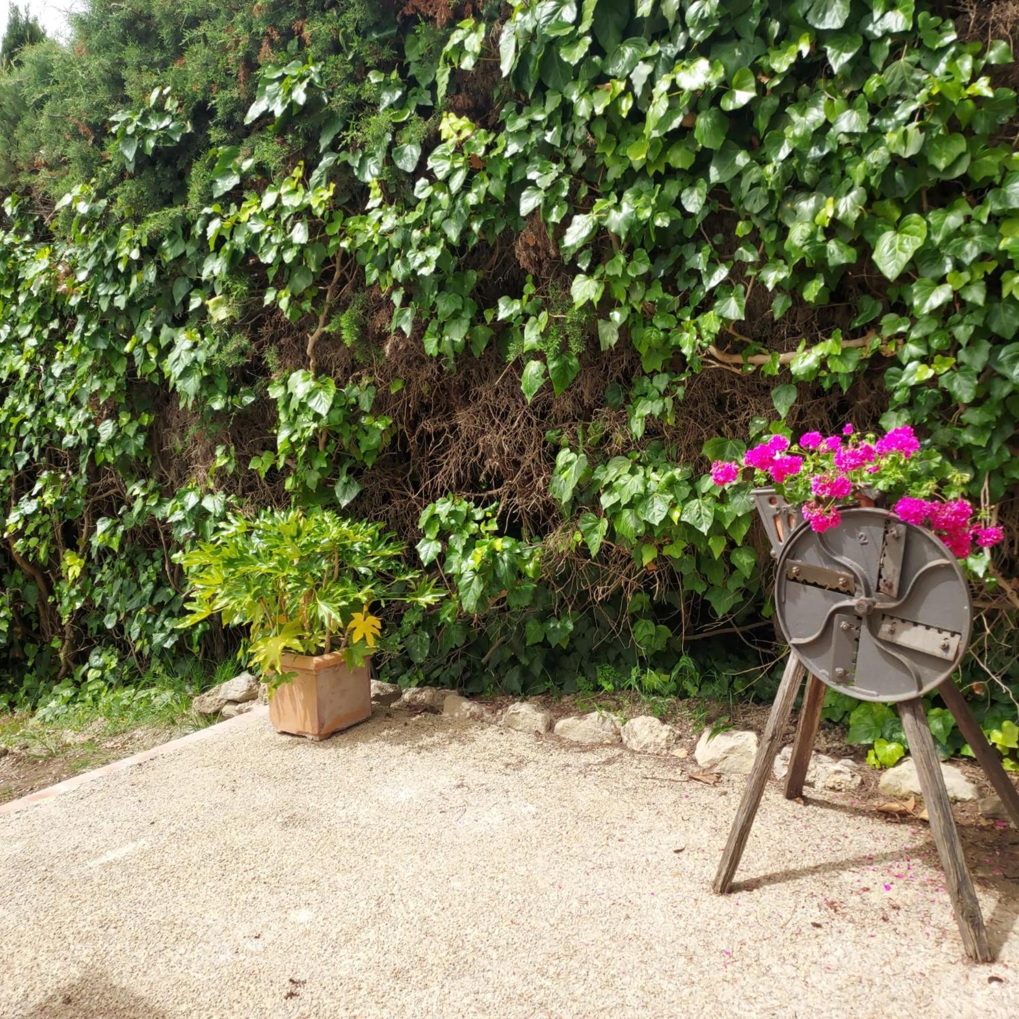 Agriturismo Il Colle Siena Luaran gambar