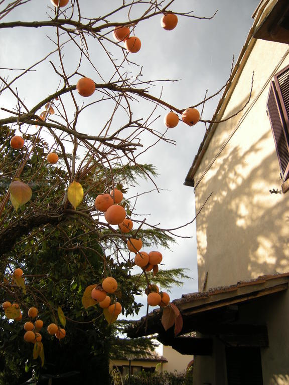 Agriturismo Il Colle Siena Bilik gambar