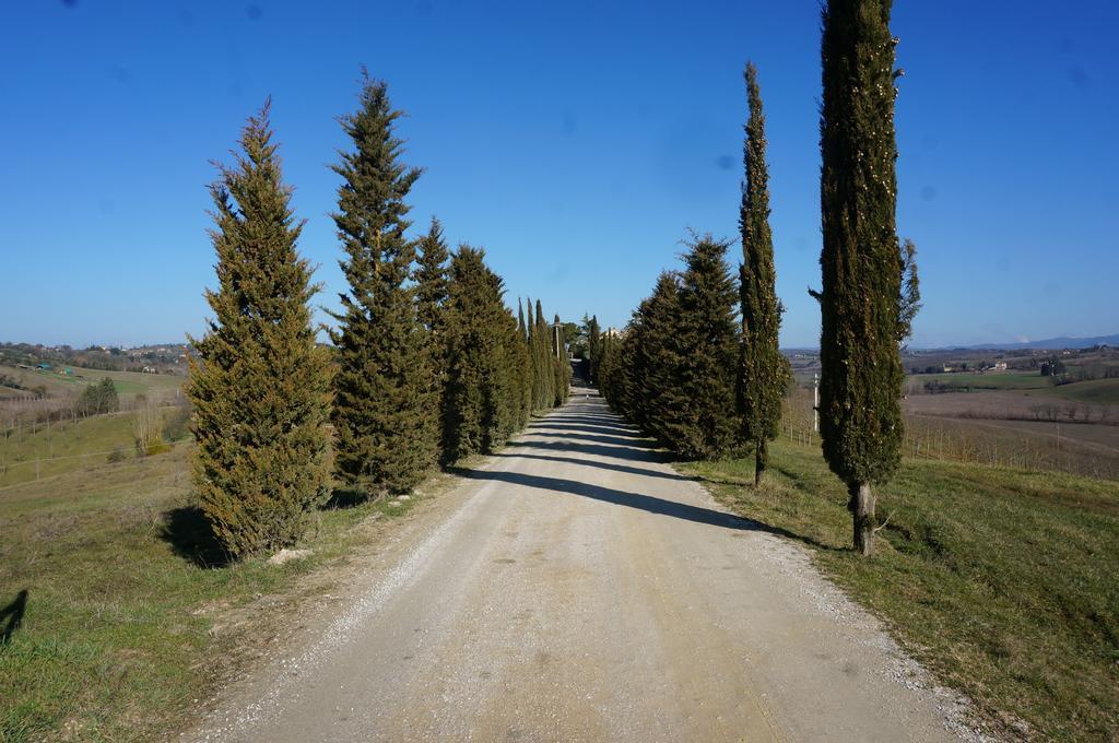 Agriturismo Il Colle Siena Luaran gambar