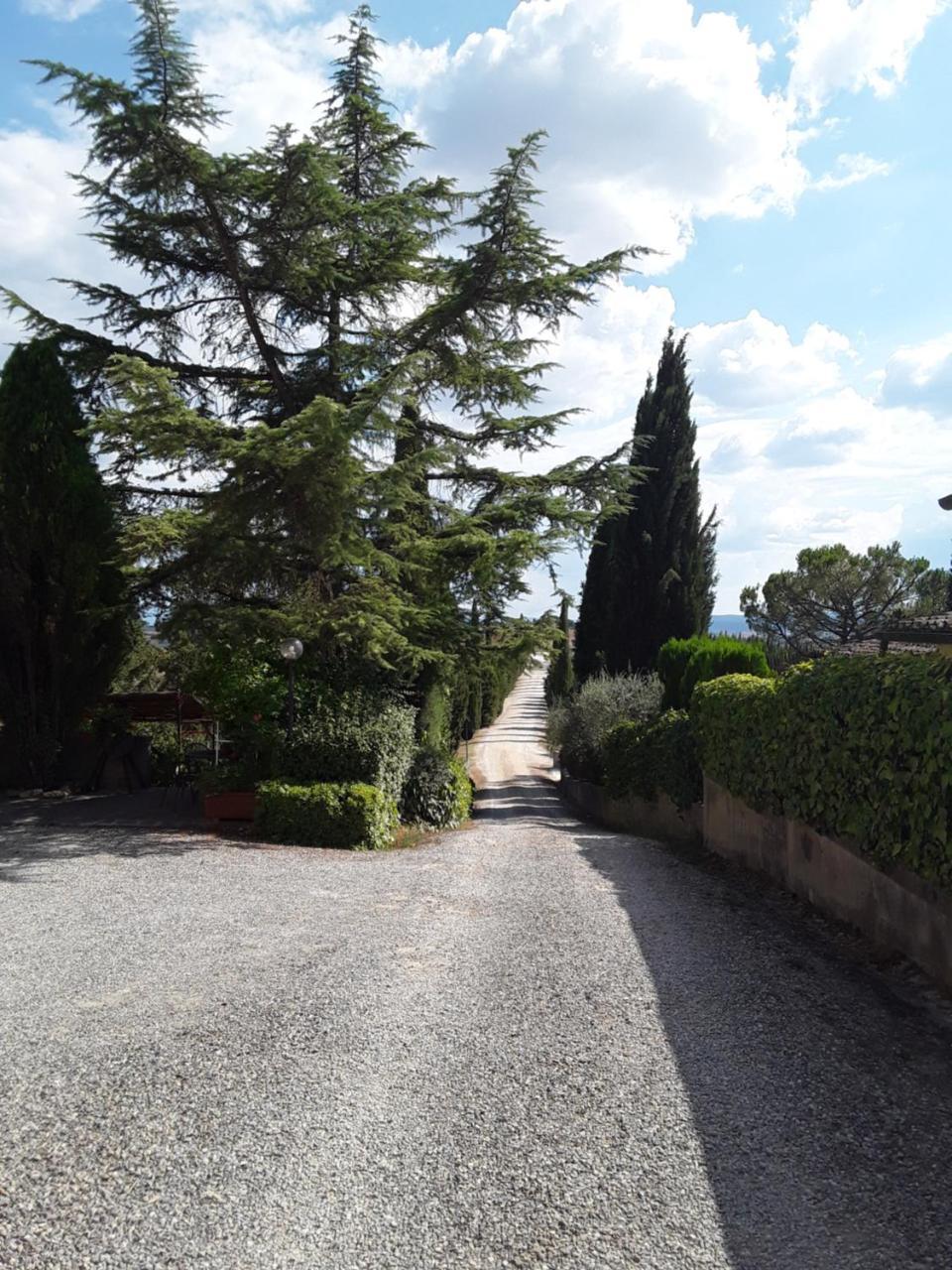 Agriturismo Il Colle Siena Luaran gambar