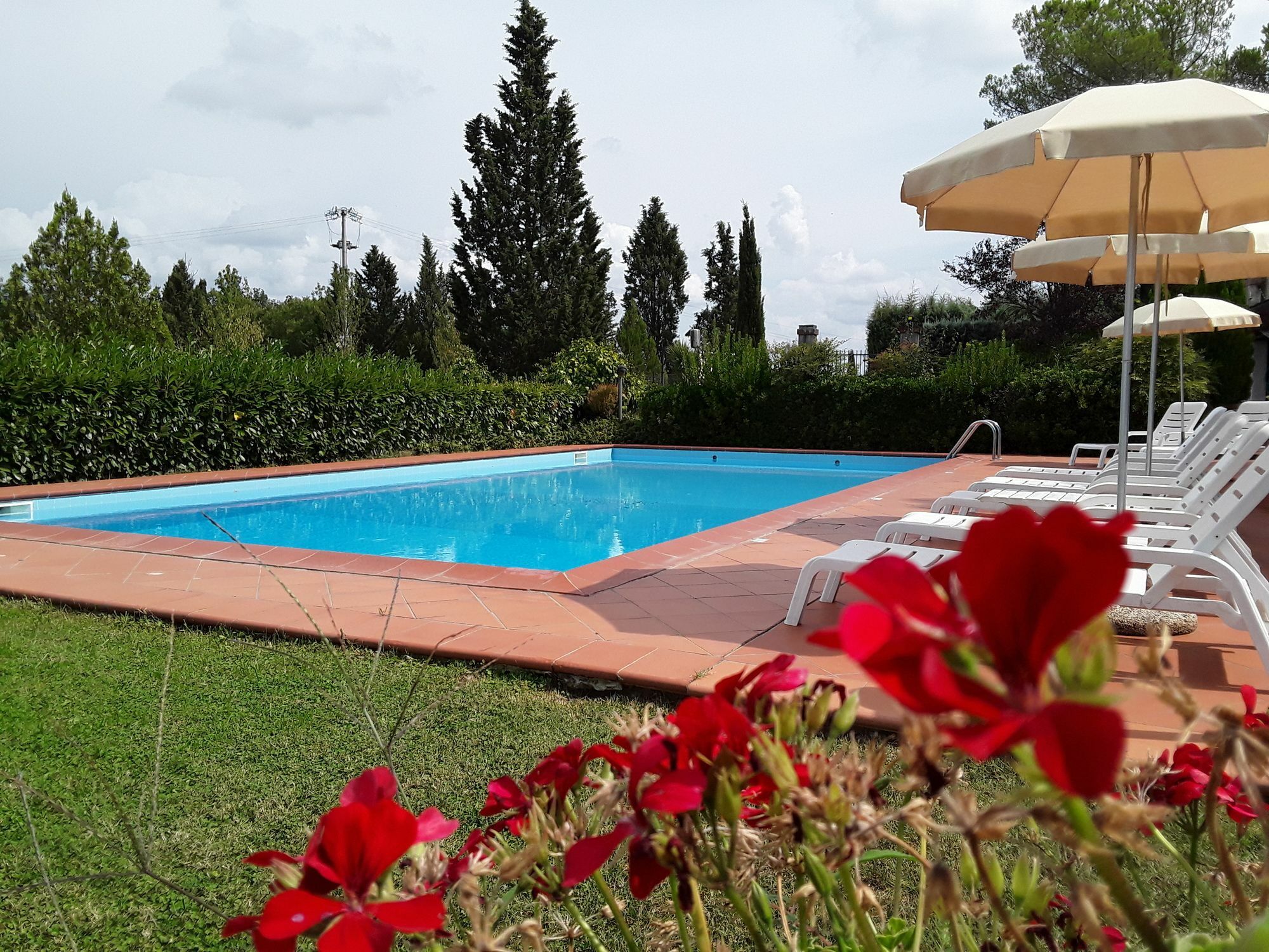 Agriturismo Il Colle Siena Luaran gambar